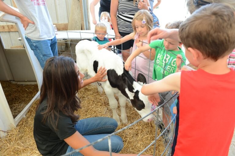Come Aprire Una Fattoria Didattica: Guida Pratica E Requisiti 26 bambini che visitano una fattoria didattica