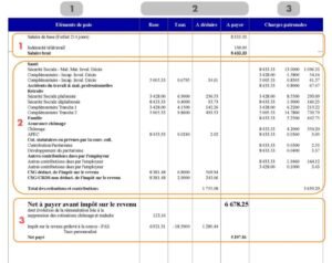busta paga con calcoli di stipendio e tfr