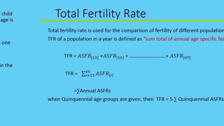 A Quanto Ammonta Il TFR: Come Si Calcola L’importo Esatto 31 calcolo tfr con bilancio e calcolatrice