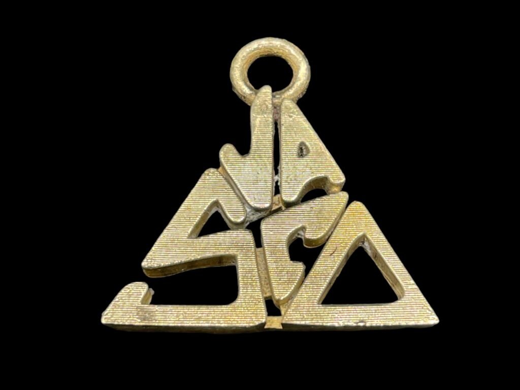 fan felici con monete da collezione vasco rossi