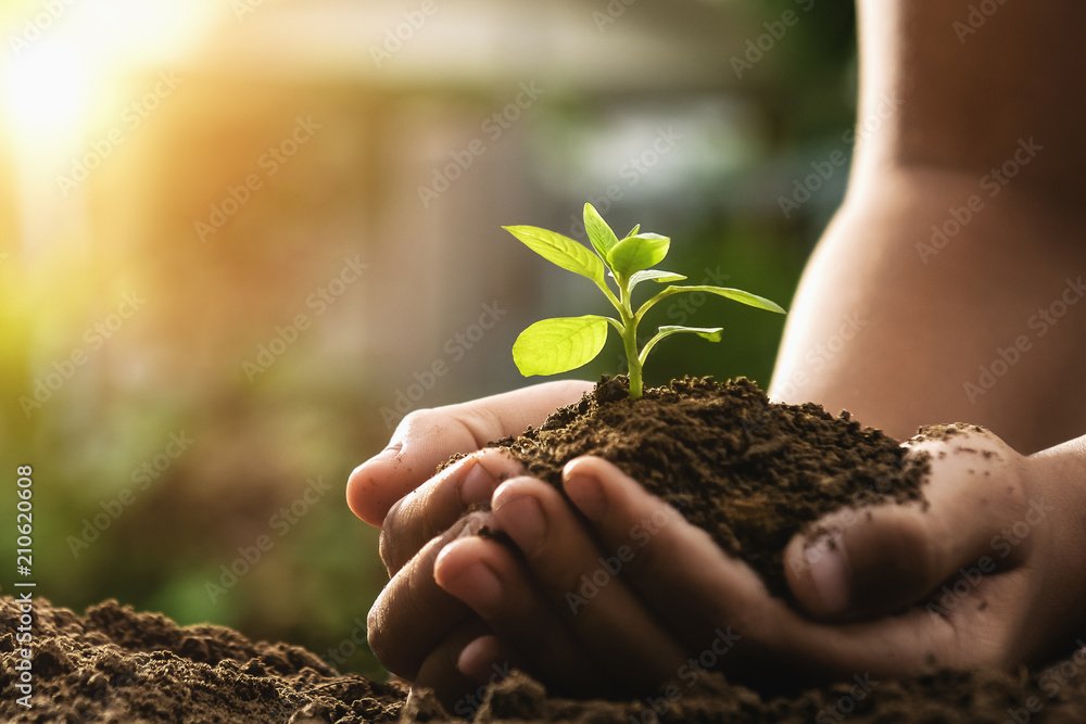 Quali sono i migliori finanziamenti a fondo perduto per no profit 2 mani che tengono una pianta che cresce