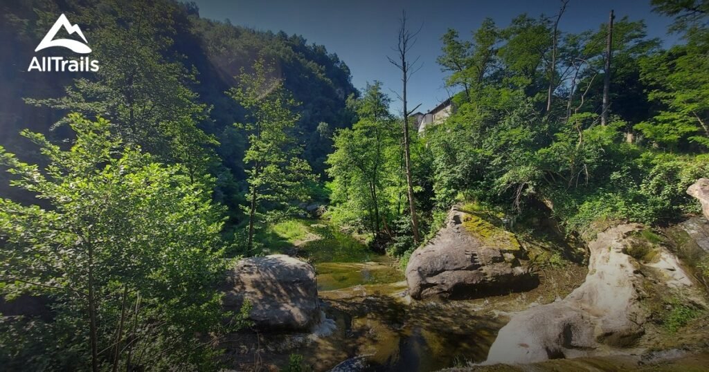 Come Migliorare La Gestione Dell’Ambiente A Novi Ligure