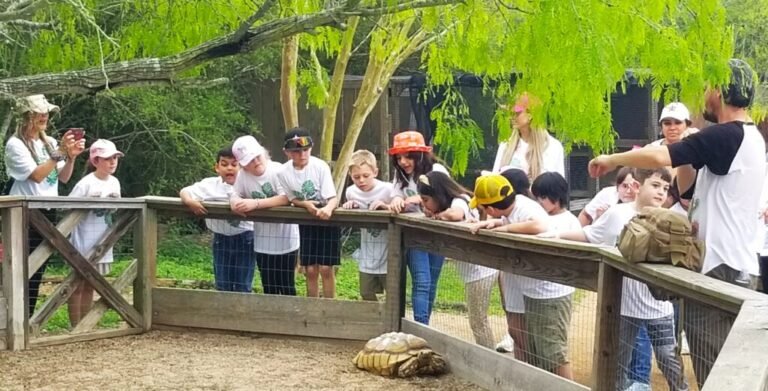 Quali sono i migliori corsi per lavorare con animali in Italia 9 studente con animali in ambiente educativo naturale