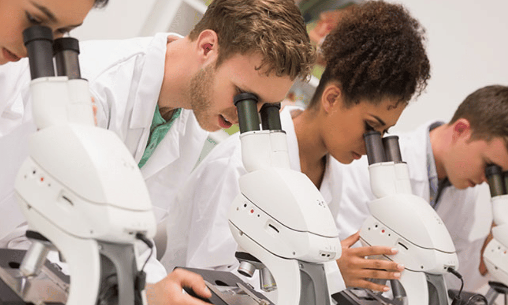 Quali Opportunità Offre Il Lavoro Da Tecnico Di Laboratorio A Roma